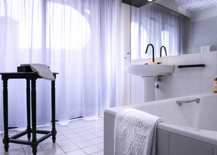 Mercure Viguier Du Roy 4*